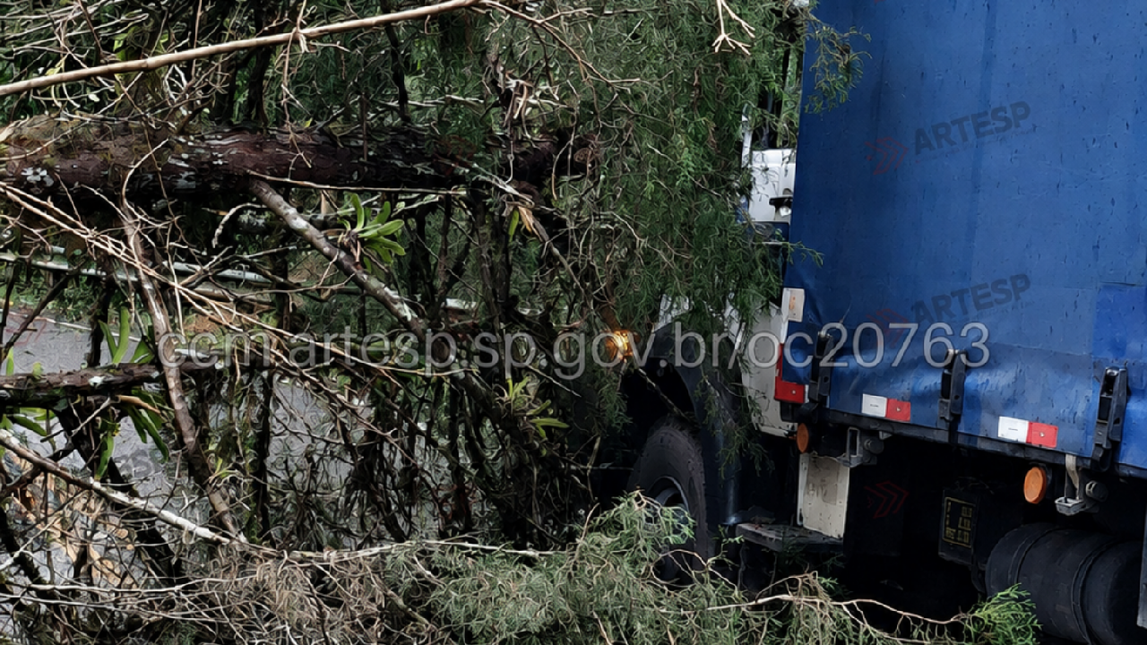 Árvore cai sobre caminhão na SP-079, em Tapiraí