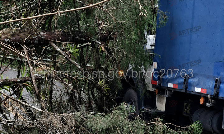 Árvore cai sobre caminhão na SP-079, em Tapiraí