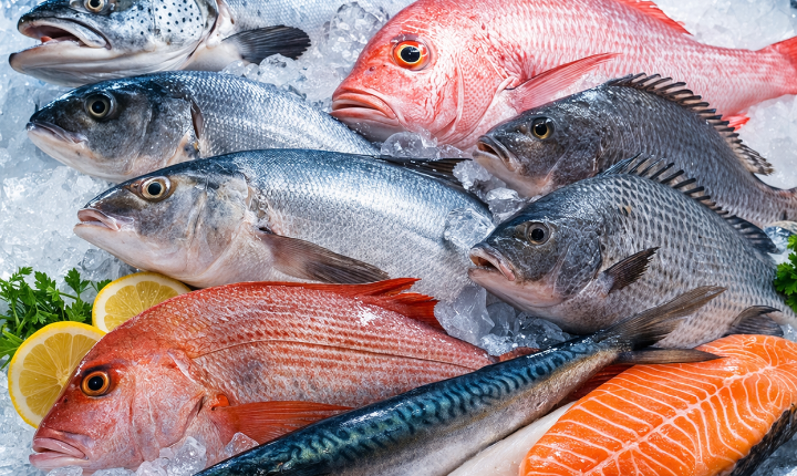 Como identificar peixe fresco? Dicas para acertar na compra
