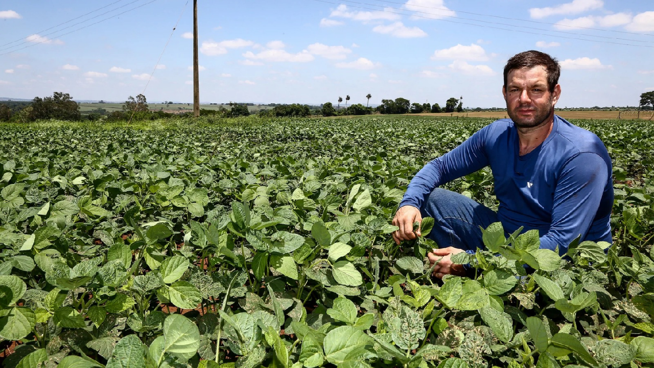 Crédito Rural: conheça os financiamentos disponíveis