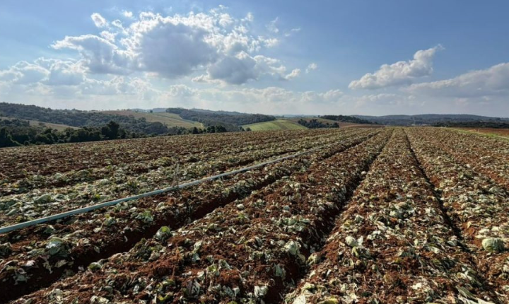 Governo de SP libera R$ 5 mi para produtores afetados em Ibiúna e Piedade