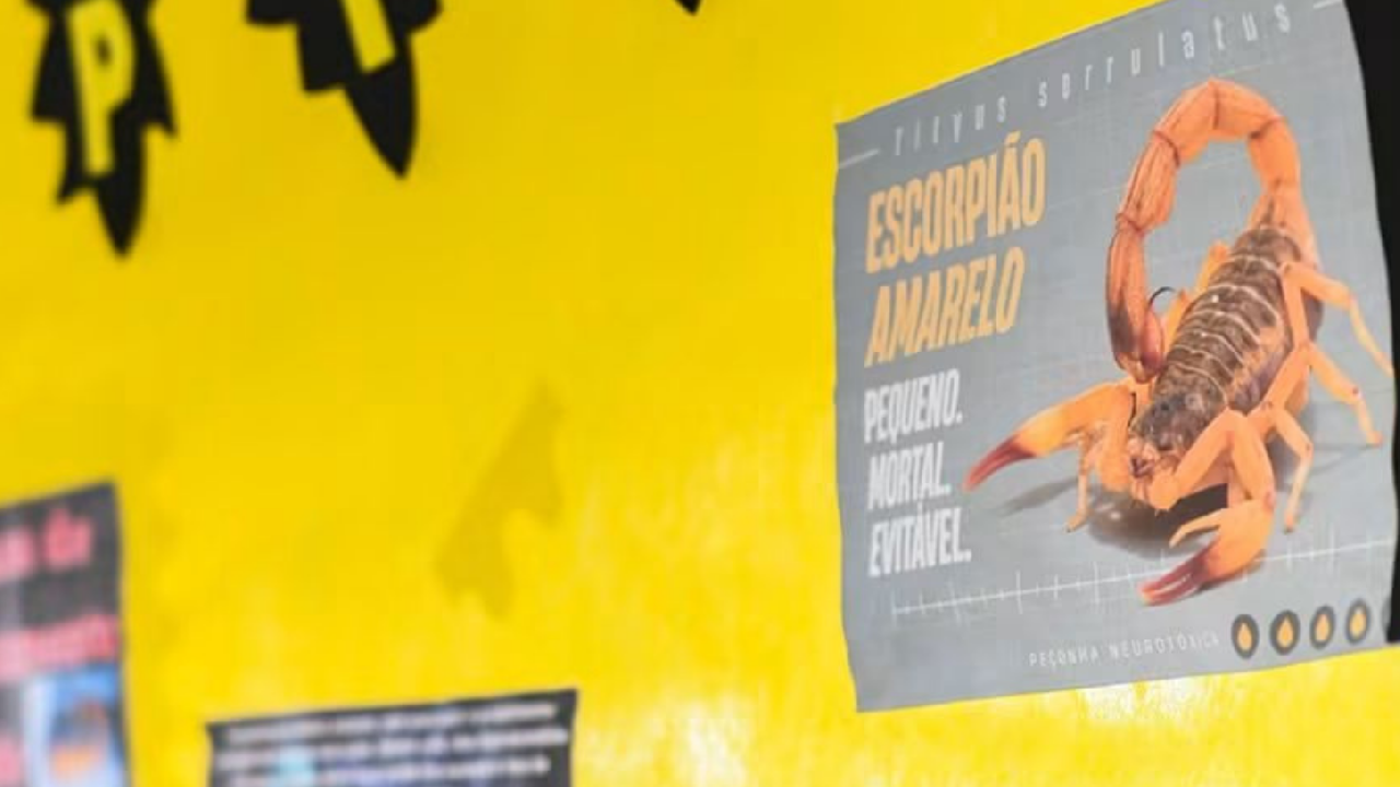 Moradores recebem orientações contra escorpiões em Piedade