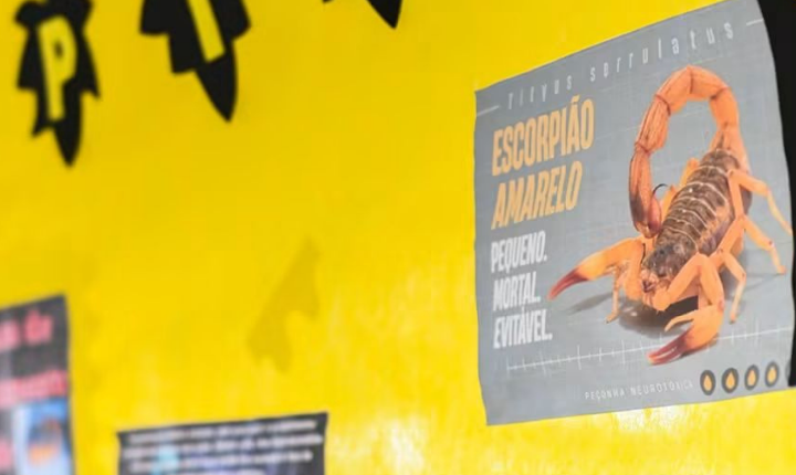 Moradores recebem orientações contra escorpiões em Piedade