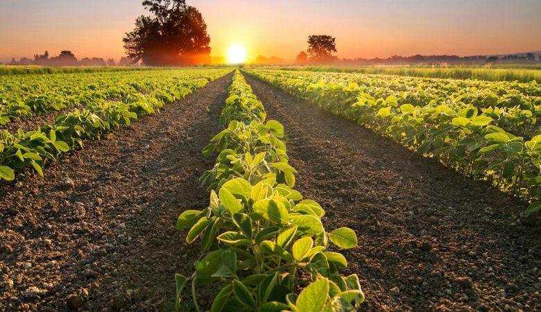Economia Verde pode gerar acréscimo de R$ 2,8 trilhões ao PIB brasileiro até 2030 e gerar novos 2 milhões de empregos