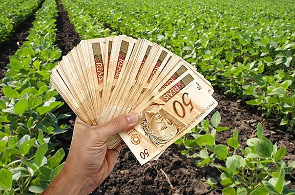 Ministério da Agricultura negocia recursos para linhas de custeio e investimento