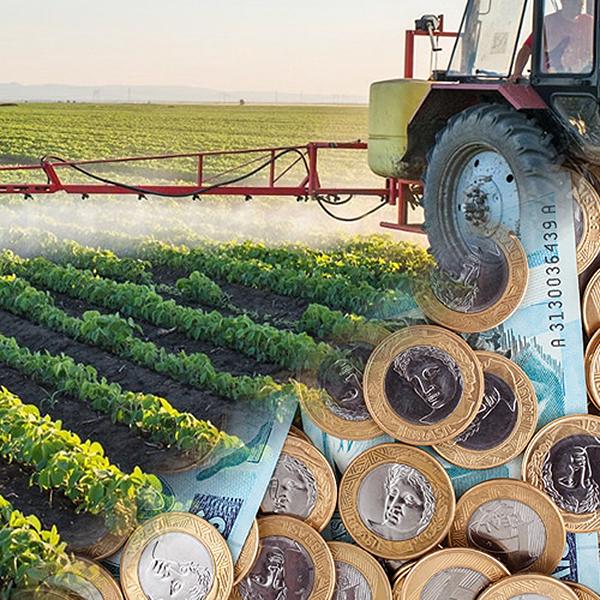 Desembolso do crédito rural soma R$ 188 bilhões em oito meses do Plano Safra