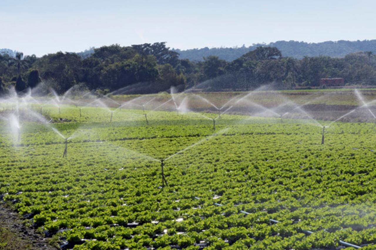 Dia Mundial da Água: Área irrigada cresce no Brasil, mas alcance chega a 14,5%; veja 7 curiosidades