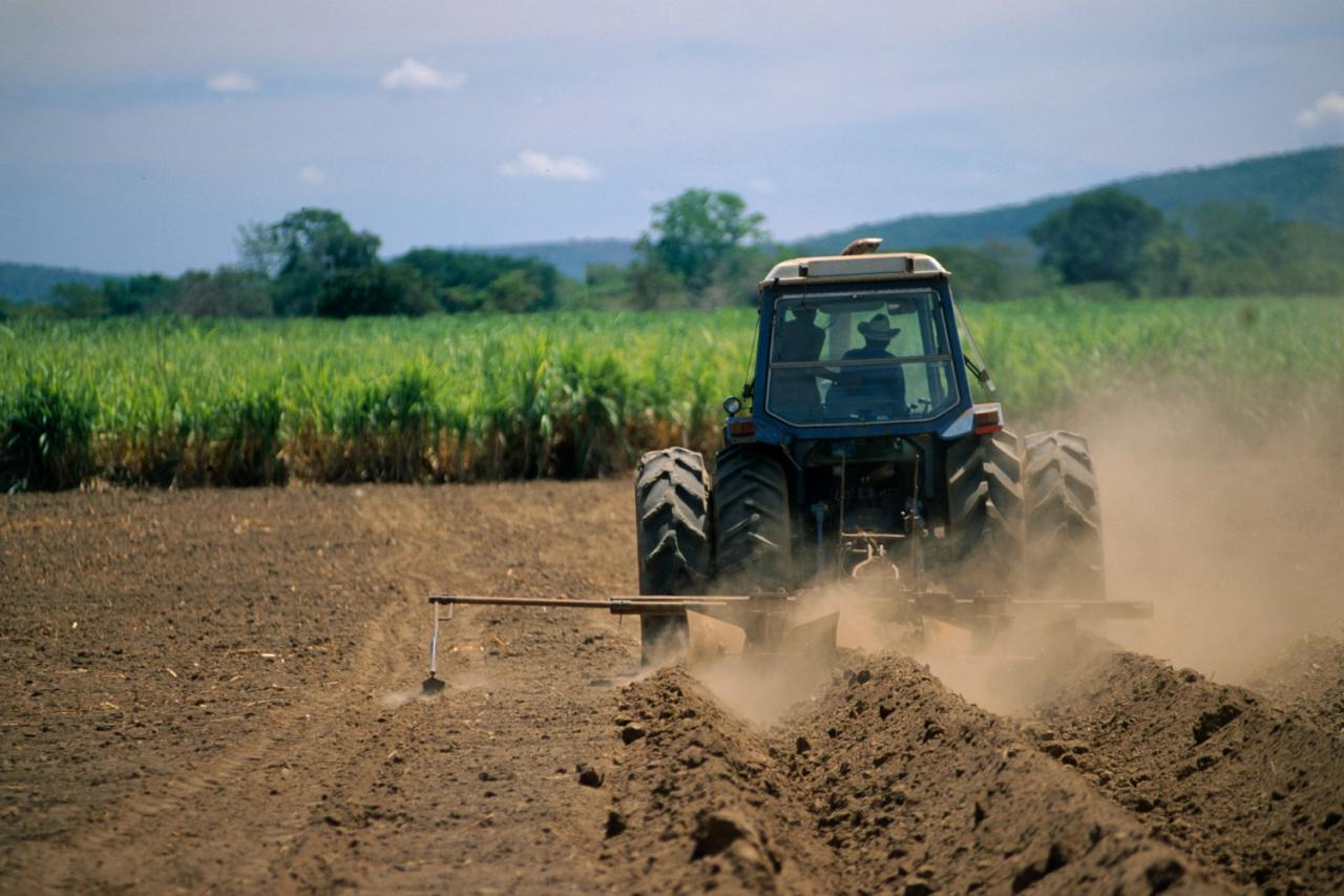 Quais são os impactos da inflação para o agronegócio?