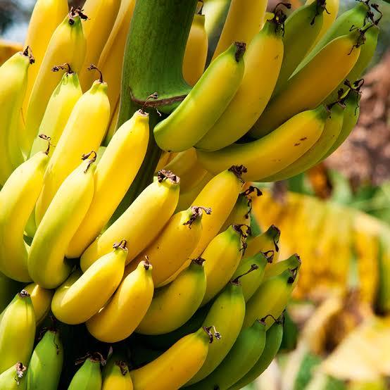 Preço da banana nanica sobe na Ceagesp
