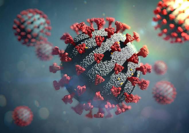 Foram registrados 17 casos positivos e 8 pacientes curados. Um paciente está hospitalizado em UTI