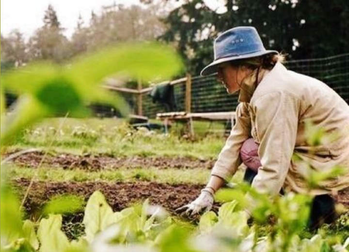 Governo cria grupo para fortalecer presença das mulheres no agronegócio
