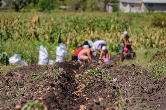 Cadastro da Agricultura Familiar: governo vai prorrogar prazo
