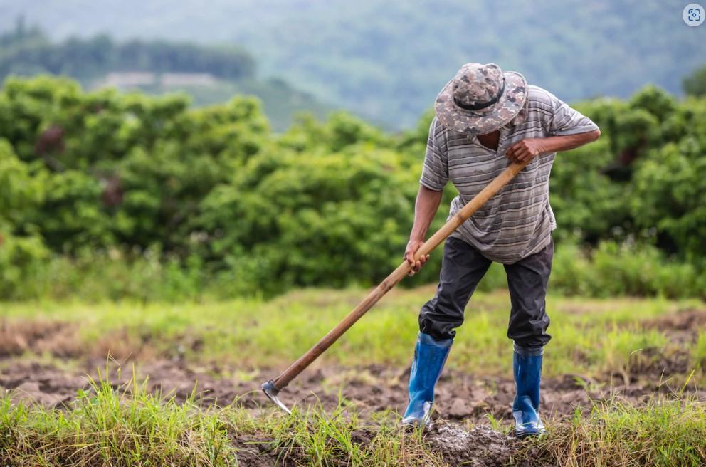 Prêmio Seguro Rural: São Paulo libera R$ 85 milhões para 2023