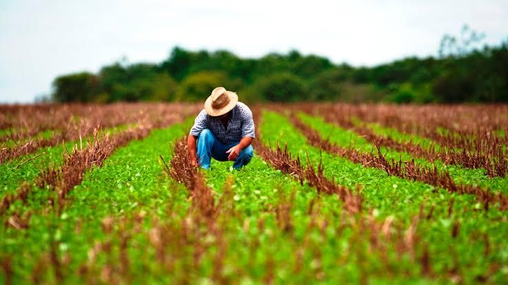 Governo de SP coloca o produtor rural no mapa do Estado