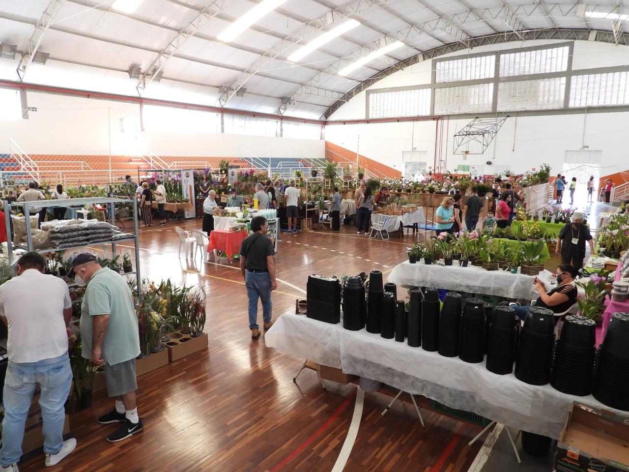 4ª Exposição Nacional de Orquídeas de Piedade acontece de 21 a 23 de julho