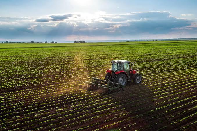 Exportações do agronegócio em SP crescem 4,3% com superávit de US$ 6 bi em 2023