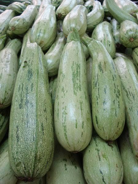 Piedade está em primeiro lugar na comercialização de abobrinha italiana destaca CEAGESP