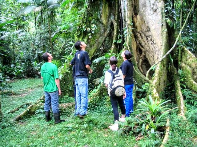 SEMIL Abre Inscrições para Formação de Monitores Ambientais Autônomos
