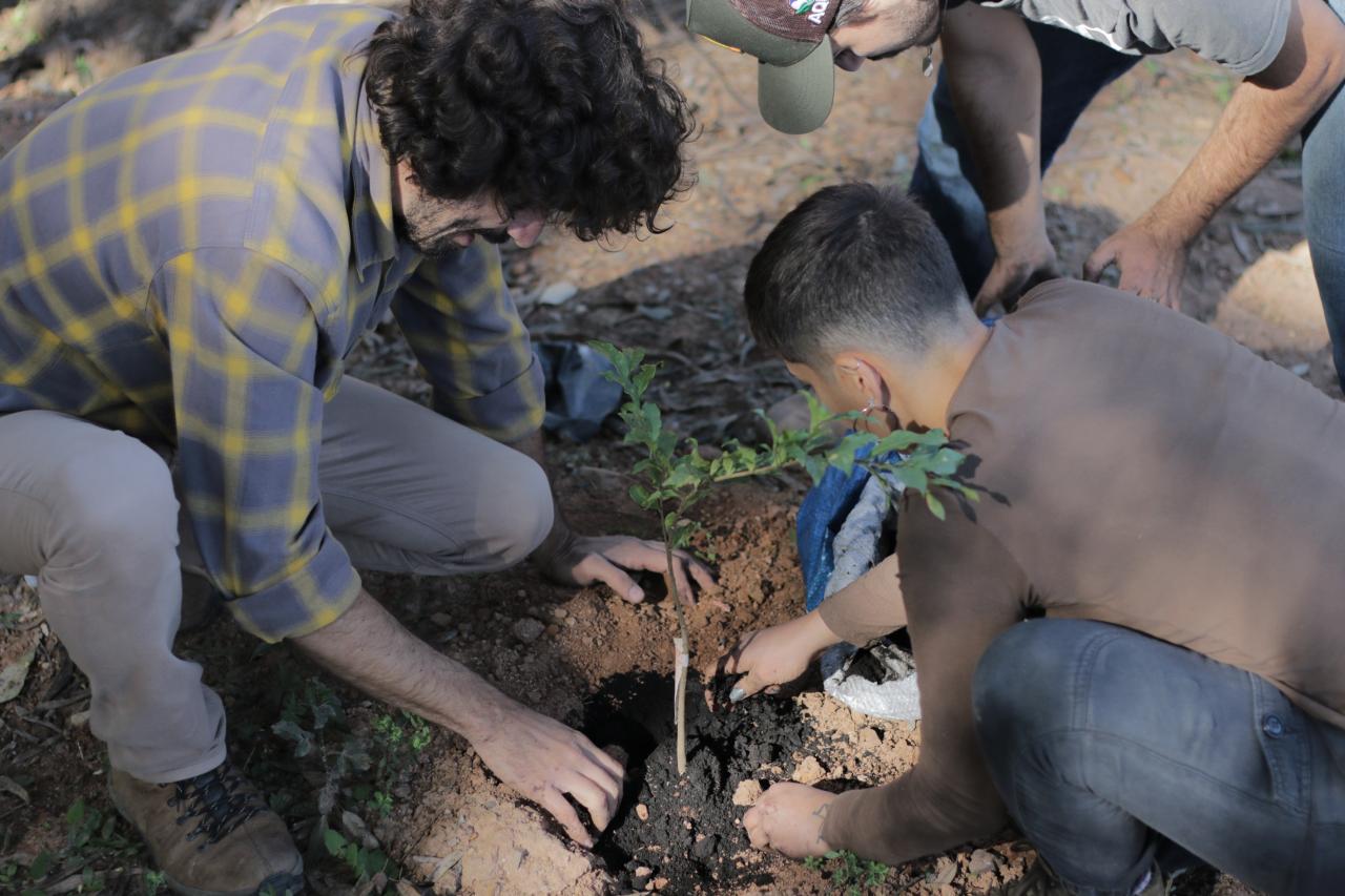 Piedade:Plantio de Mudas em Celebração ao Dia da Árvore