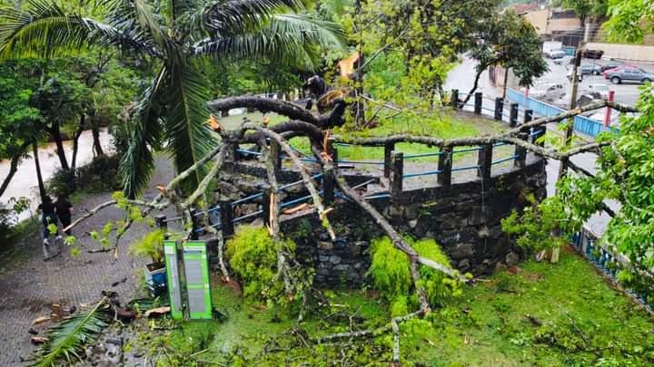 Intensas chuvas causam estragos em Piedade