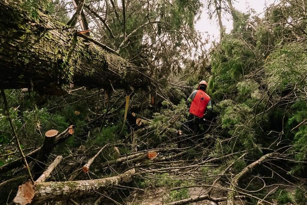 Balanço dos temporais desta Sexta-feira (03) em Piedade