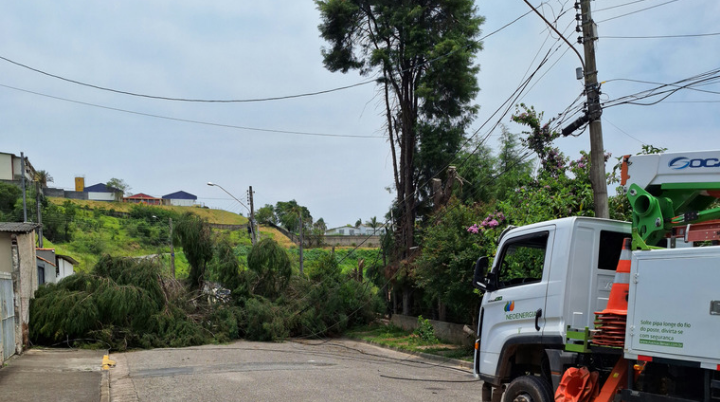 Chuva e ventos fortes causam estragos em Piedade