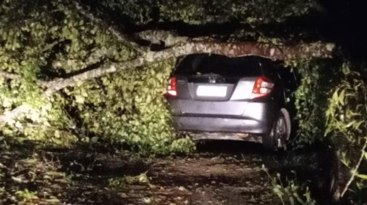 Tempestade derruba árvore sobre veículo no Altos da Liberdade