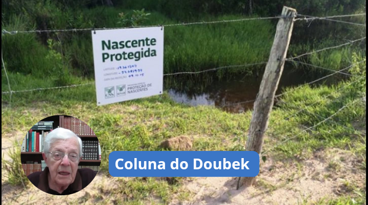 Propostas públicas para Piedade  Proteção de nascentes