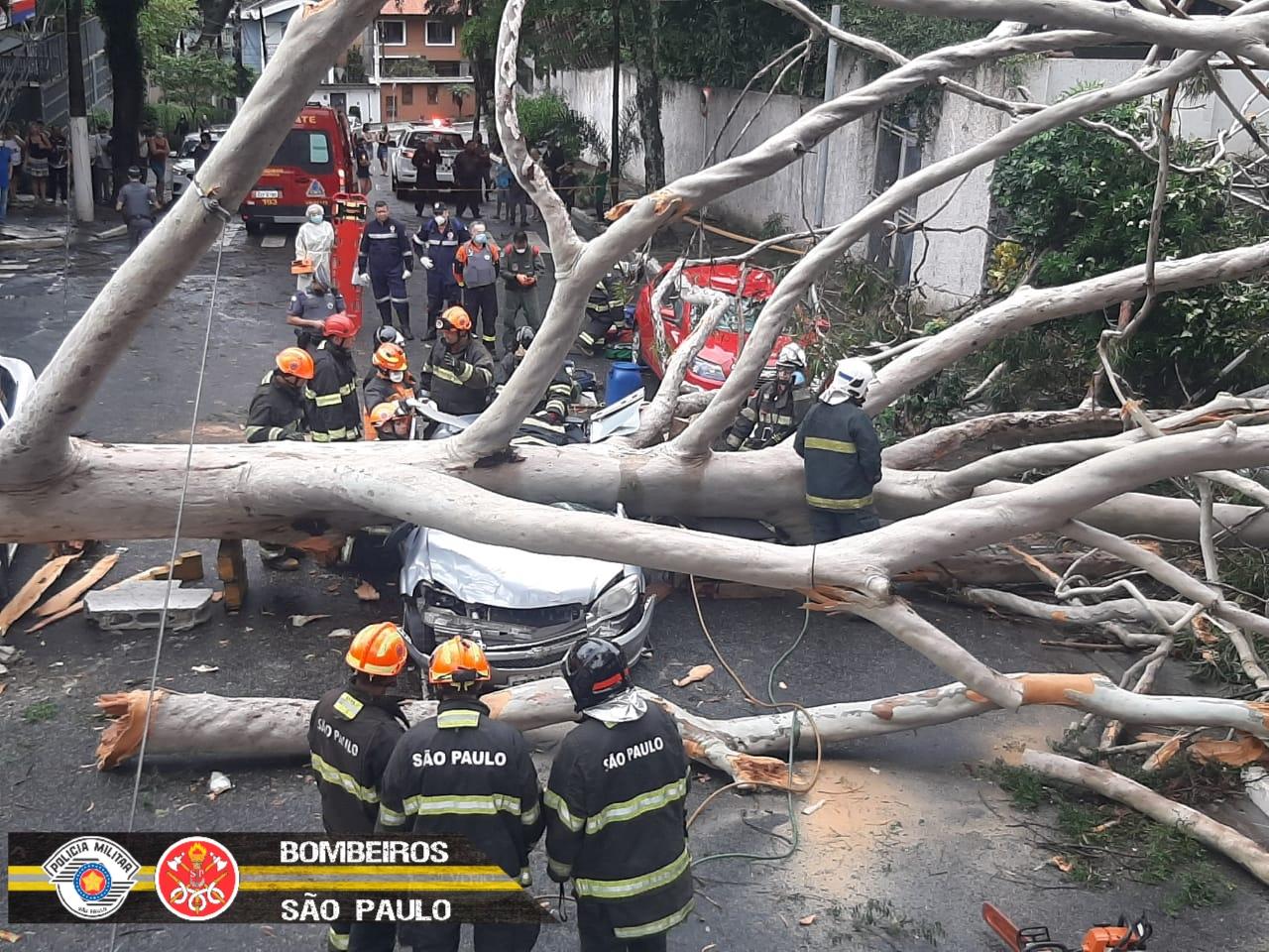 Defesa Civil de SP reforça dicas de segurança durante temporais