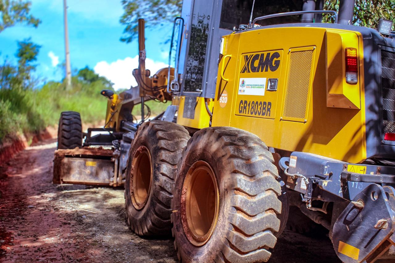 Funcionários da Prefeitura sofrem ataque de enxame de abelhas nesta segunda-feira (15)