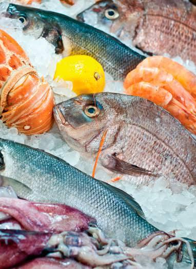 Instituto de Pesca de SP explica como escolher e armazenar pescado no verão