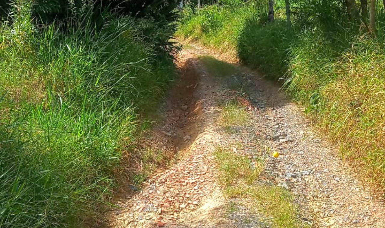 Moradores do Bairro do Barreiro pedem manutenção urgente da estrada