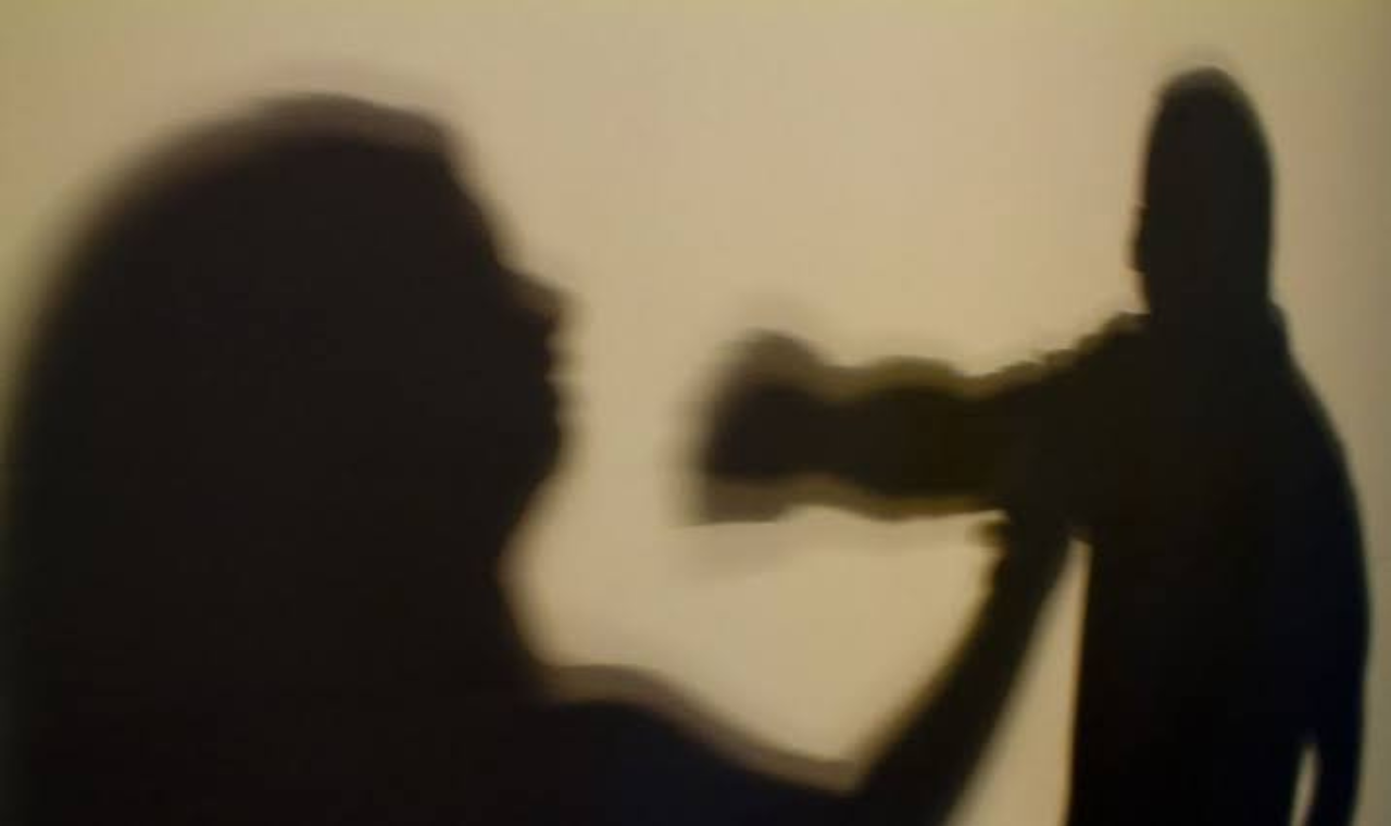 Projeto de lei Institui protocolo de atendimento a mulheres vítimas de violência sexual em Piedade