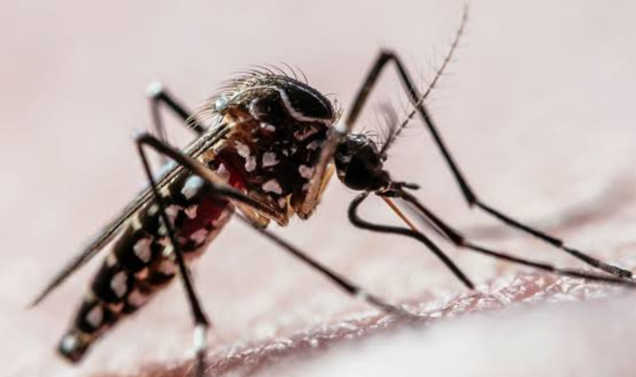 Primeiro óbito por dengue em Piedade em 2024 é confirmado