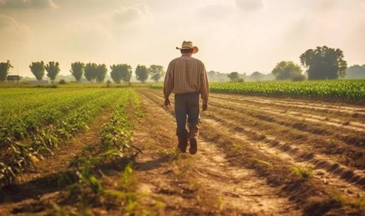 Produtores rurais já podem emitir o CCIR 2024 gratuitamente