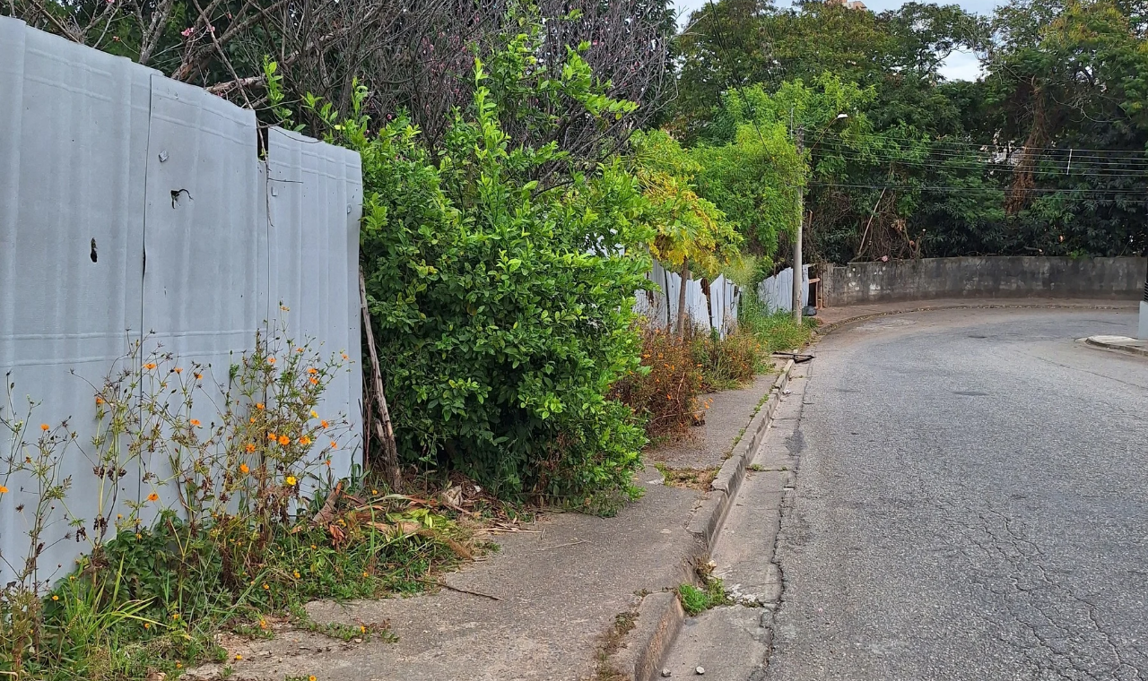 Moradores reclamam da insegurança em terreno próximo à Câmara Municipal