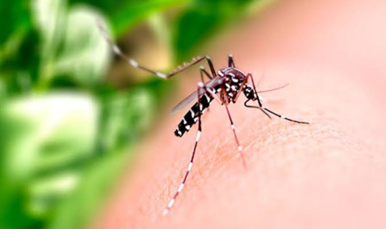 Aumento de casos de dengue preocupa região de Piedade e outras 10 cidades