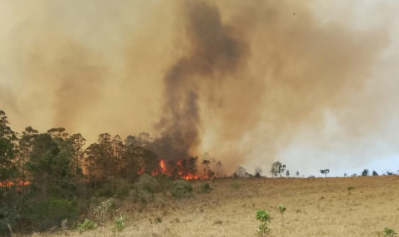 Incêndio de grandes proporções atinge plantação de eucalipto em Votorantim