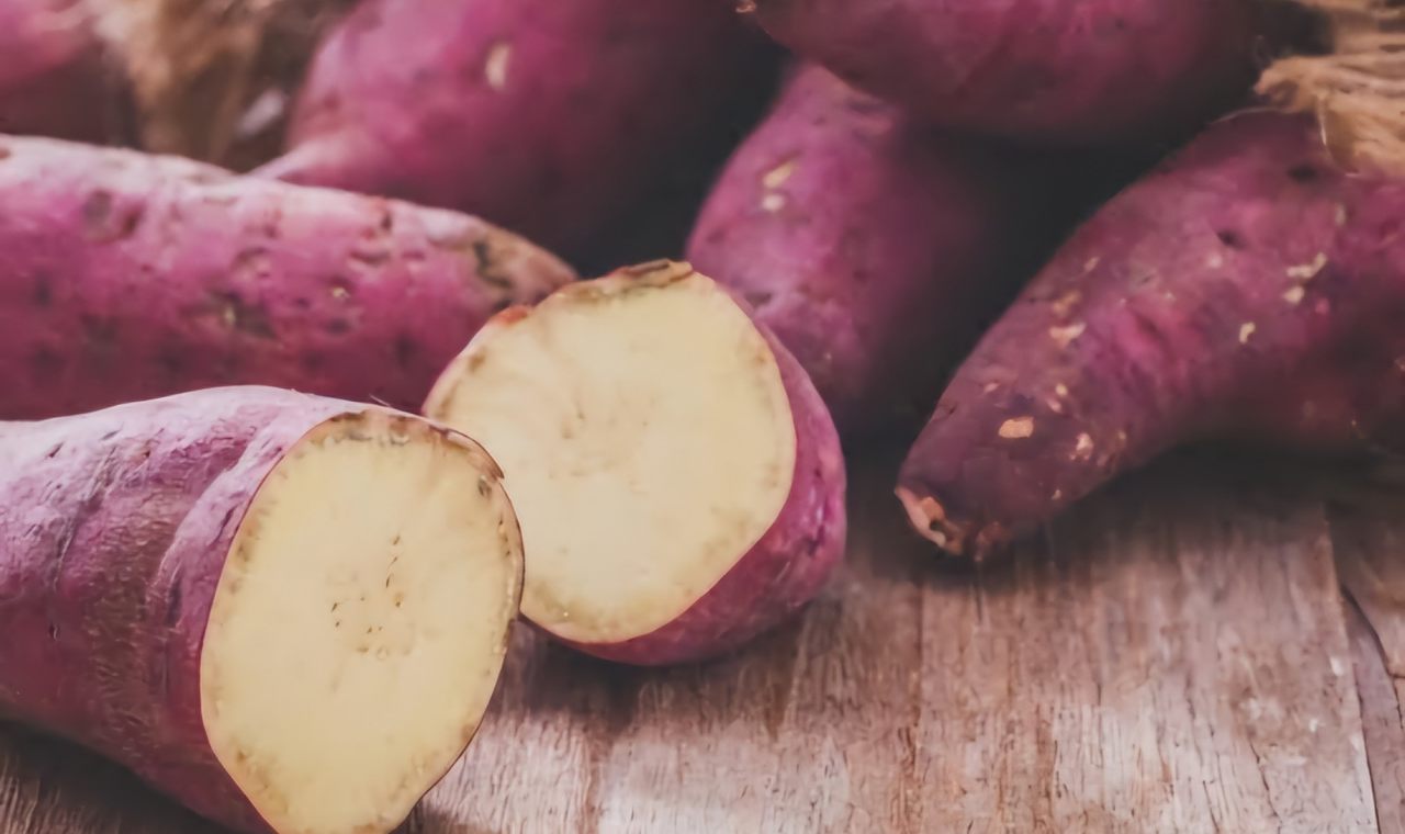 Piedade lidera fornecimento de batata-doce para a Ceagesp