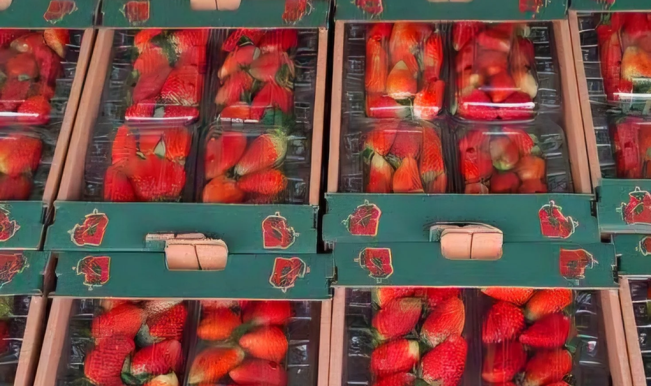 Piedade: Um dos principais centros de produção de morango no Brasil