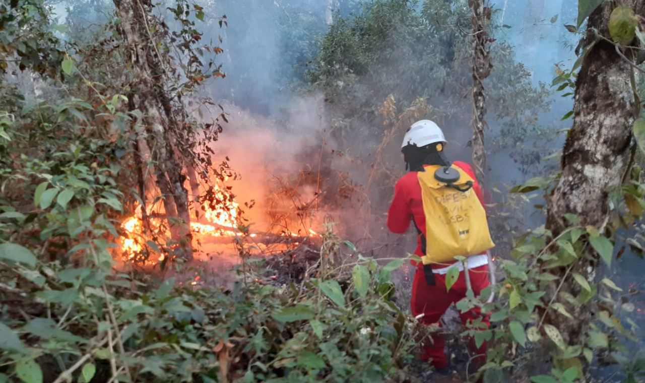 Primavera começa com alerta da Defesa Civil do estado de SP para risco de incêndio