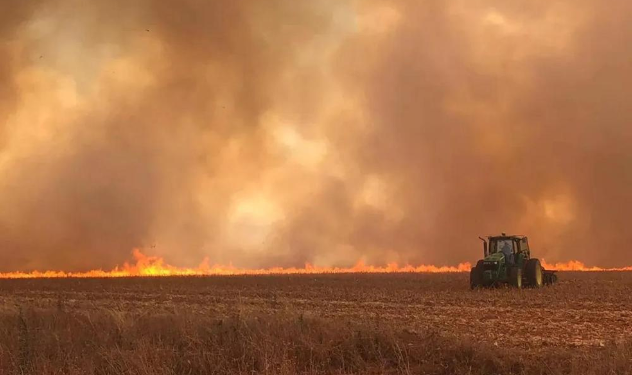 Resolução agiliza auxílio a produtores rurais atingidos por incêndios