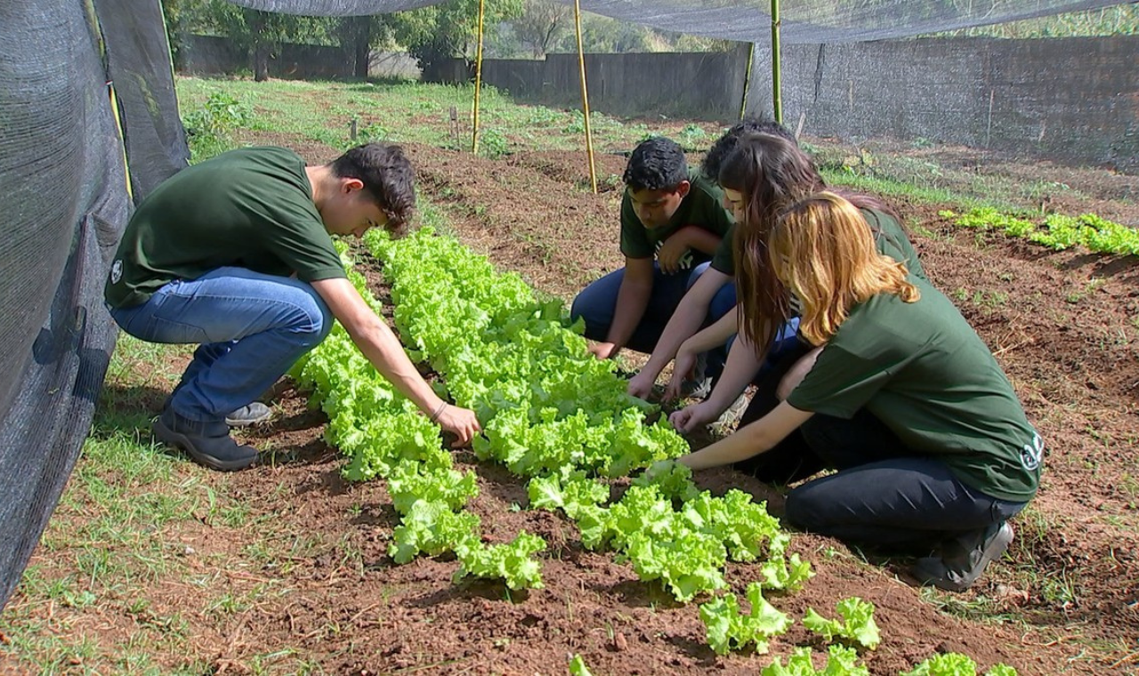 SP prevê programa para incentivar jovens no agro