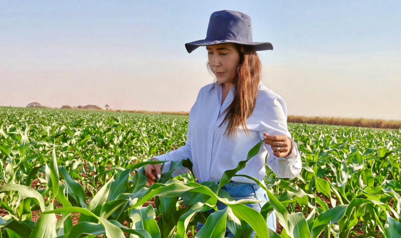 Governo de SP disponibiliza R$ 10 milhões de crédito para produtoras rurais