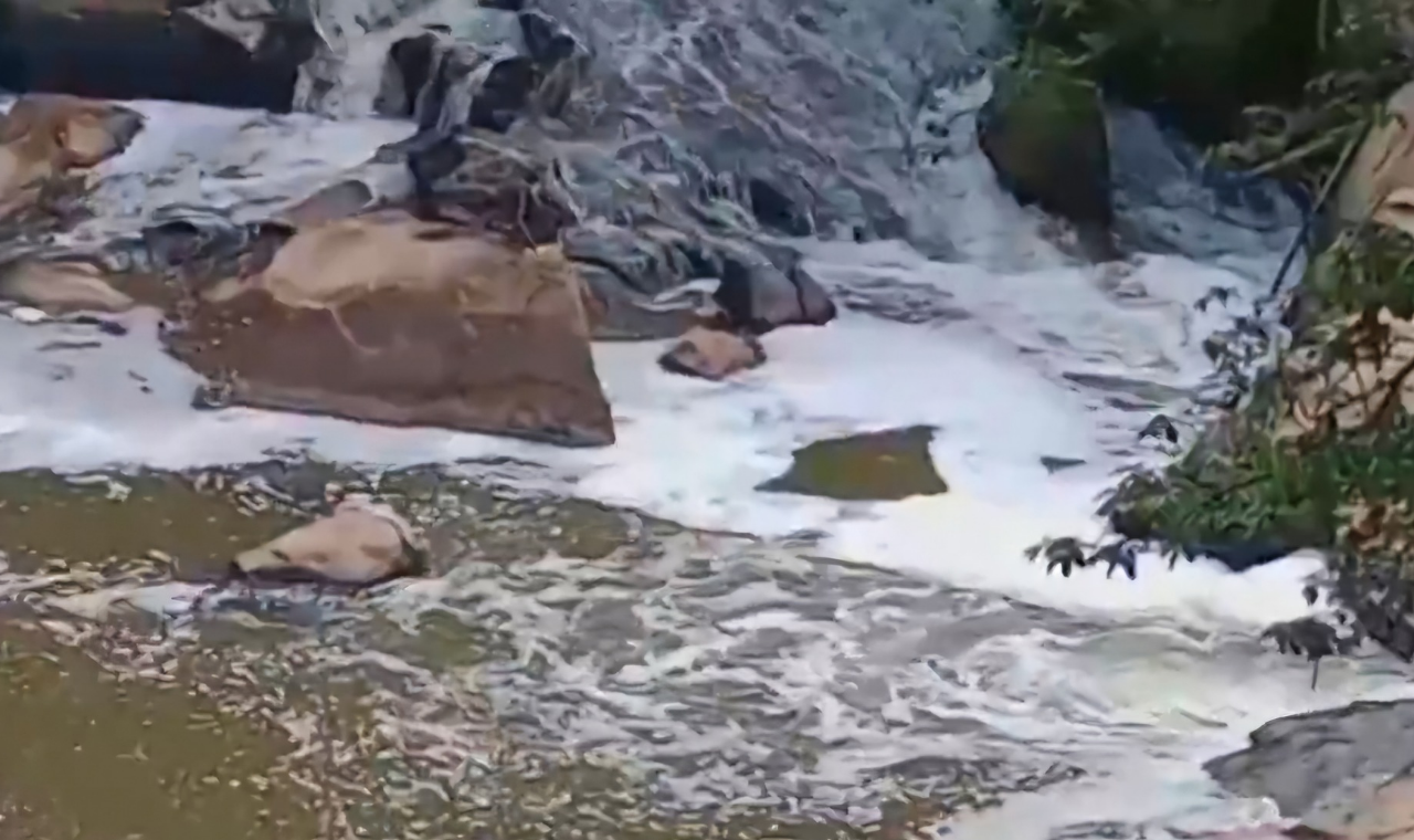 (Piedade) Conselho de Meio Ambiente discute recuperação do Rio Pirapora