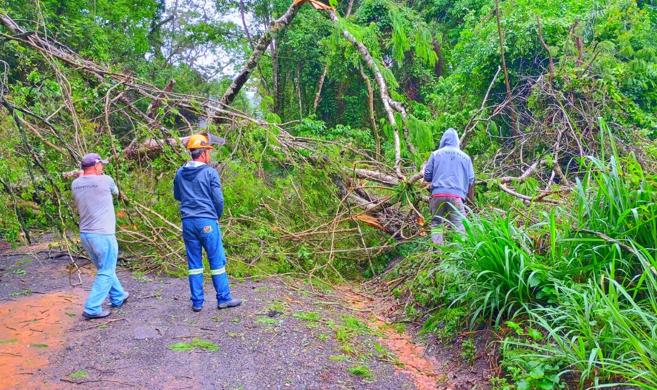 Chuva intensa provoca quedas de árvores e deslizamento de terra em Piedade