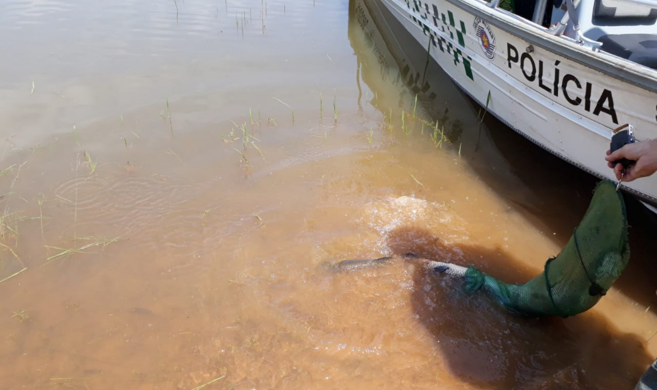 Homem é autuado por pesca ilegal durante a Piracema em Ibiúna