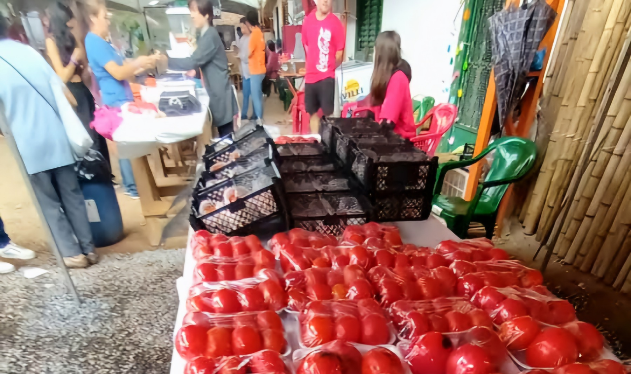 Colha & Pague do Kaki Fuyu chega à 19ª edição em Piedade