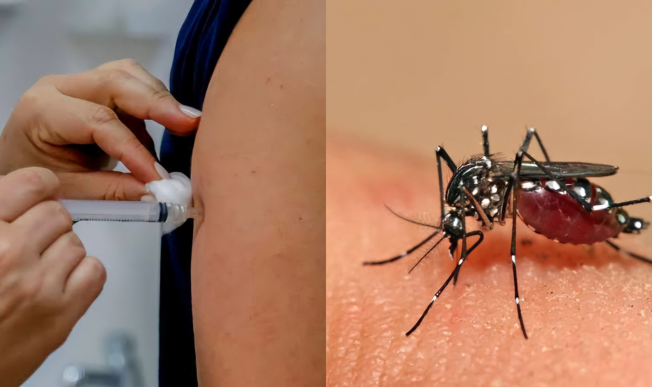 Piedade intensifica combate à dengue com ações de prevenção e vacinação