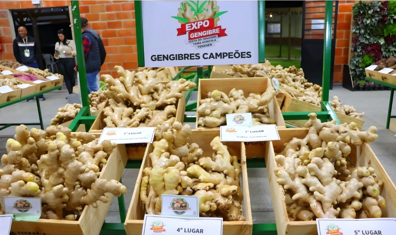 Tapiraí se prepara para a Expo Gengibre 2025